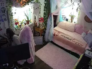 voyeurcam veccasalt 01's Live Sex Cam Show