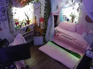 voyeurcam veccasalt 01's Live Sex Cam Show