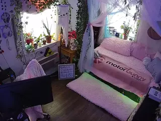 voyeurcam veccasalt 01's Live Sex Cam Show