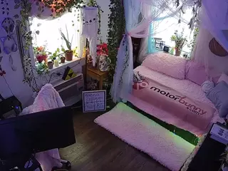 voyeurcam veccasalt 01's Live Sex Cam Show