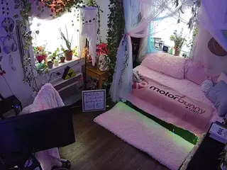 voyeurcam veccasalt 01's Live Sex Cam Show