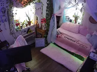 voyeurcam veccasalt 01's Live Sex Cam Show