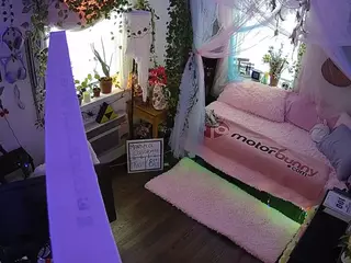 voyeurcam veccasalt 01's Live Sex Cam Show