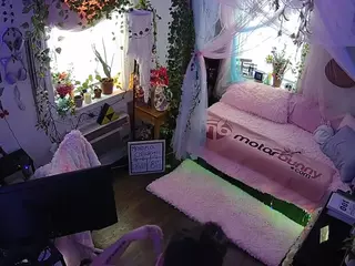 voyeurcam veccasalt 01's Live Sex Cam Show