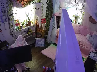 voyeurcam veccasalt 01's Live Sex Cam Show