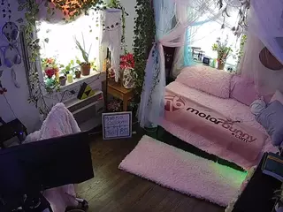 voyeurcam veccasalt 01's Live Sex Cam Show