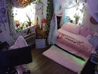 voyeurcam veccasalt 01's Live Sex Cam Show