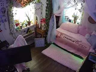 voyeurcam veccasalt 01's Live Sex Cam Show