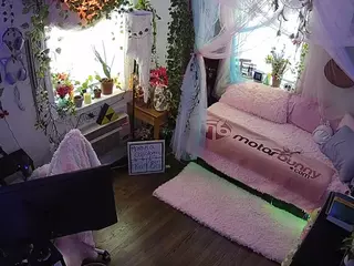 voyeurcam veccasalt 01's Live Sex Cam Show