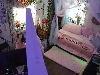 voyeurcam veccasalt 01's Live Sex Cam Show