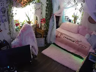 voyeurcam veccasalt 01's Live Sex Cam Show