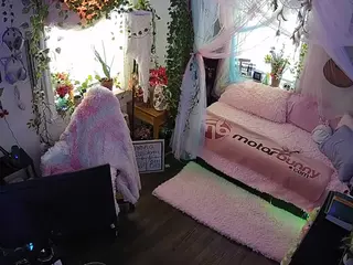 voyeurcam veccasalt 01's Live Sex Cam Show