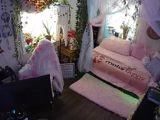 voyeurcam veccasalt 01's Live Sex Cam Show