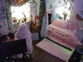 voyeurcam veccasalt 01's Live Sex Cam Show