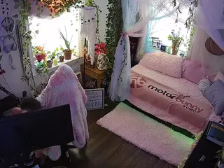 voyeurcam veccasalt 01's Live Sex Cam Show