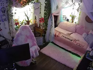 voyeurcam veccasalt 01's Live Sex Cam Show