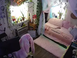 voyeurcam veccasalt 01's Live Sex Cam Show