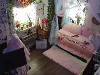 voyeurcam veccasalt 01's Live Sex Cam Show