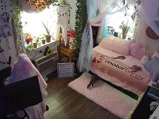 voyeurcam veccasalt 01's Live Sex Cam Show