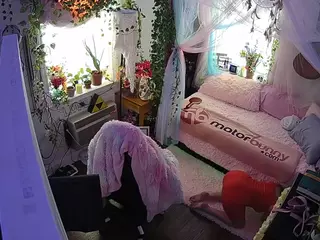 voyeurcam veccasalt 01's Live Sex Cam Show