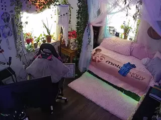 voyeurcam veccasalt 01's Live Sex Cam Show