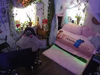 voyeurcam veccasalt 01's Live Sex Cam Show