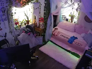 voyeurcam veccasalt 01's Live Sex Cam Show