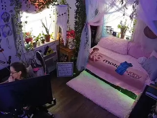 voyeurcam veccasalt 01's Live Sex Cam Show
