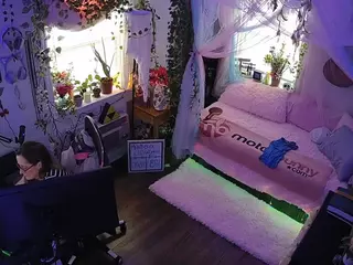 voyeurcam veccasalt 01's Live Sex Cam Show