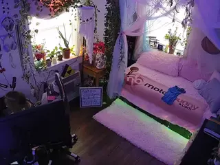 voyeurcam veccasalt 01's Live Sex Cam Show