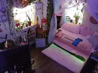 voyeurcam veccasalt 01's Live Sex Cam Show