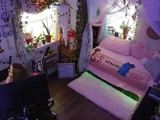 voyeurcam veccasalt 01's Live Sex Cam Show