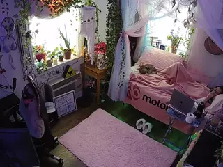 voyeurcam veccasalt 01's Live Sex Cam Show