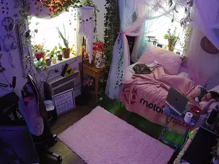 voyeurcam veccasalt 01's Live Sex Cam Show