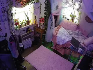 voyeurcam veccasalt 01's Live Sex Cam Show