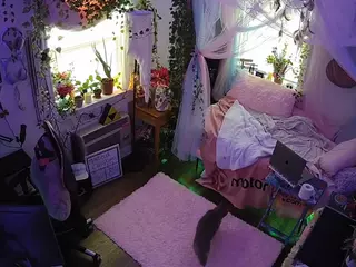 voyeurcam veccasalt 01's Live Sex Cam Show