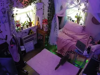 voyeurcam veccasalt 01's Live Sex Cam Show