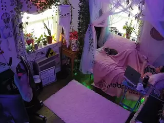 voyeurcam veccasalt 01's Live Sex Cam Show