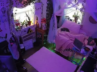 voyeurcam veccasalt 01's Live Sex Cam Show