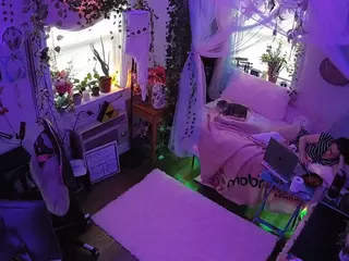 voyeurcam veccasalt 01's Live Sex Cam Show