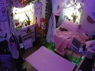 voyeurcam veccasalt 01's Live Sex Cam Show