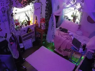 voyeurcam veccasalt 01's Live Sex Cam Show