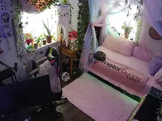 voyeurcam veccasalt 01's Live Sex Cam Show