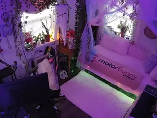 voyeurcam veccasalt 01's Live Sex Cam Show