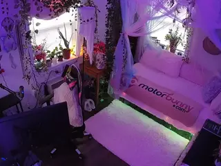 voyeurcam veccasalt 01's Live Sex Cam Show
