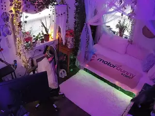 voyeurcam veccasalt 01's Live Sex Cam Show