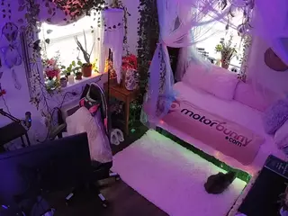 voyeurcam veccasalt 01's Live Sex Cam Show