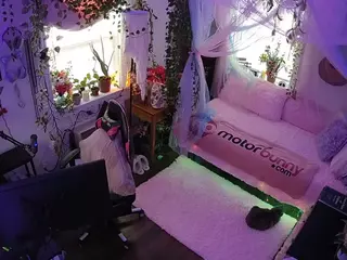 voyeurcam veccasalt 01's Live Sex Cam Show