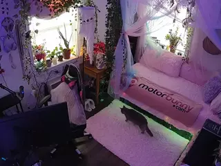voyeurcam veccasalt 01's Live Sex Cam Show