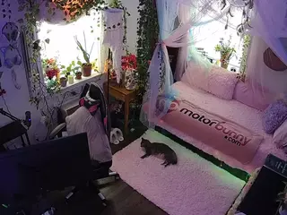 voyeurcam veccasalt 01's Live Sex Cam Show